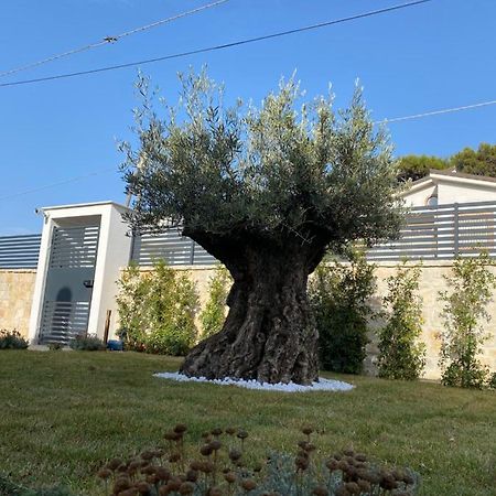 Villa Palladino Rooms Giovinazzo Exterior photo